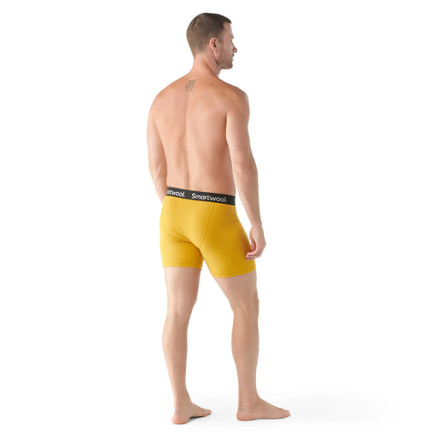 Men's Merino Boxer Brief